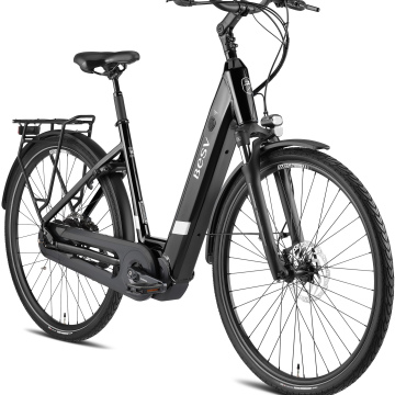 BESV CT2.3 45cm