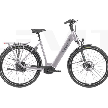 Levit Beleco 3
