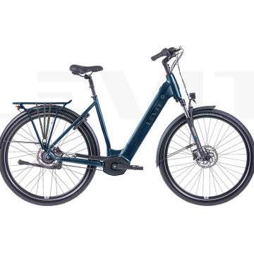 Levit  Beleco  5